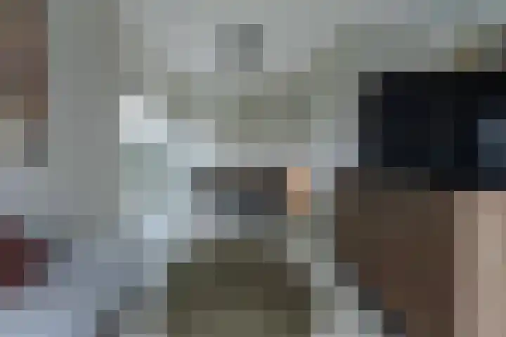 Gentiaan 11 Heerlen thumbnail 12