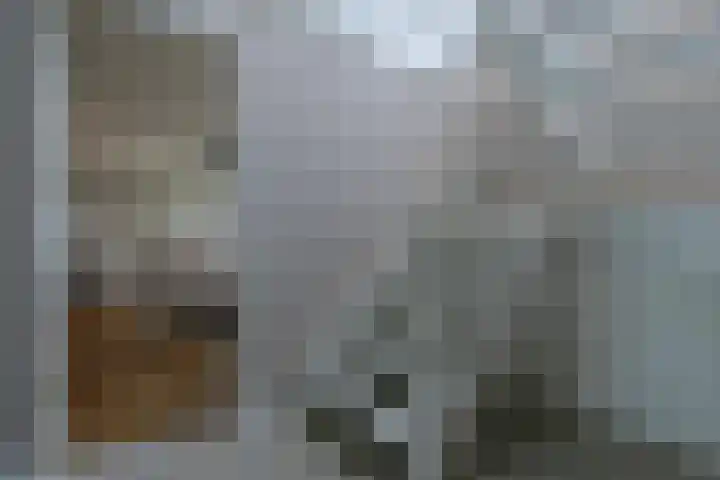 Gentiaan 11 Heerlen thumbnail 22