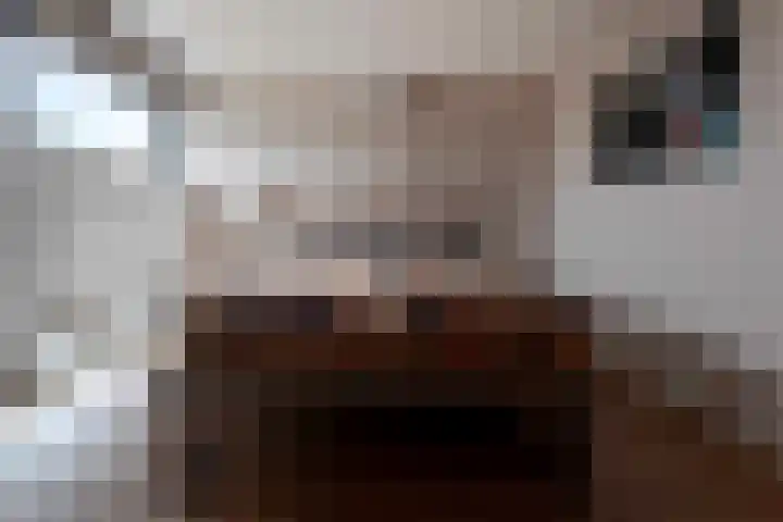Gentiaan 11 Heerlen thumbnail 35