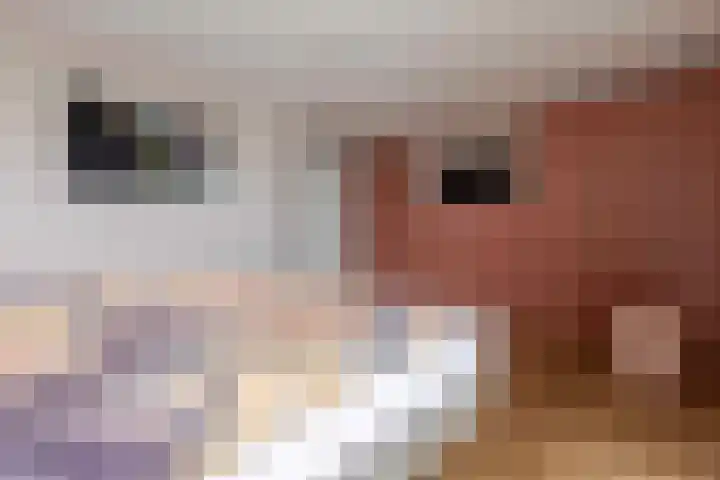 Gentiaan 11 Heerlen thumbnail 36