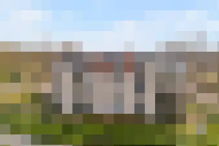 Gentiaan 20 Beilen