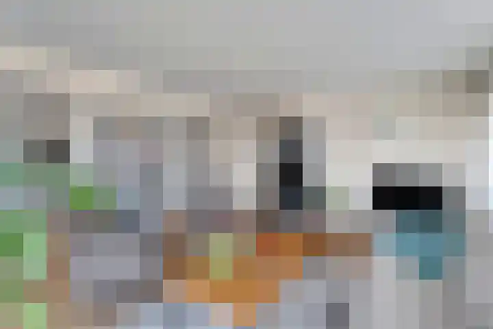 Gentiaan 20 Beilen thumbnail 16