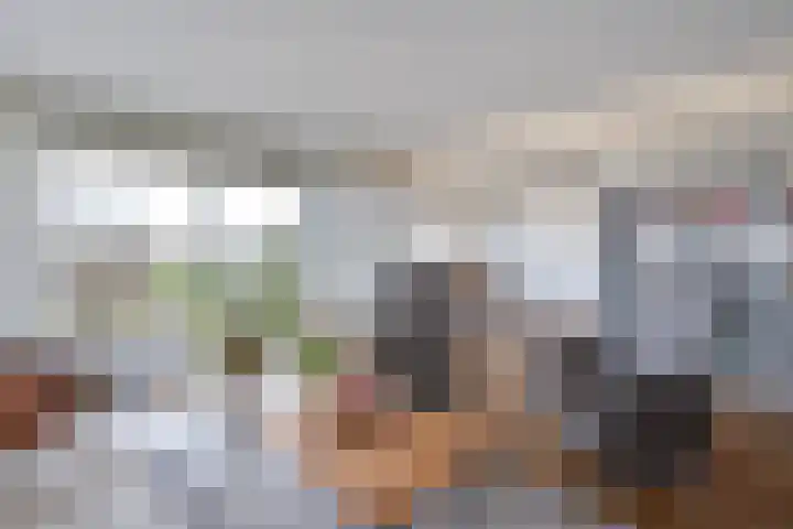 Gentiaan 20 Beilen thumbnail 17