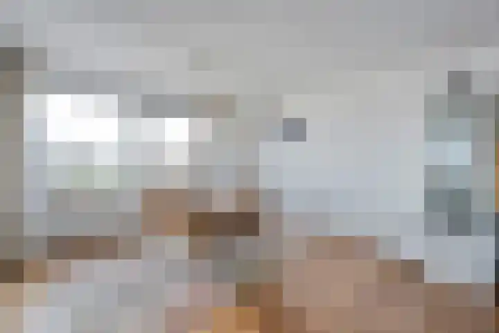 Gentiaan 20 Beilen thumbnail 18