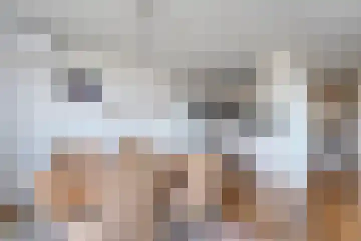 Gentiaan 20 Beilen thumbnail 19