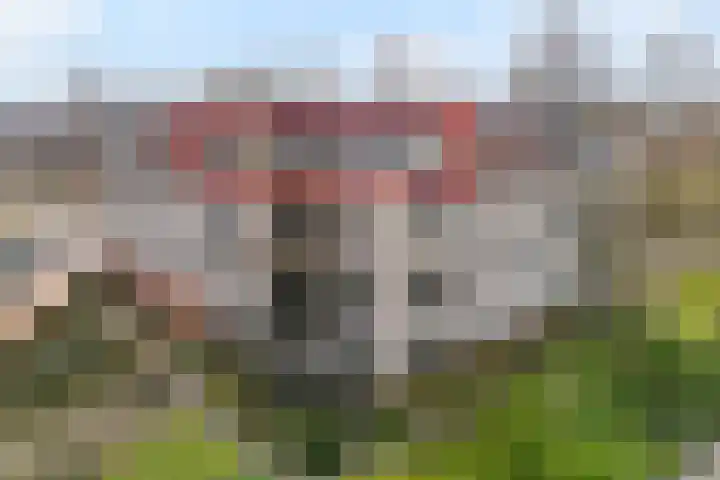 Gentiaan 20 Beilen foto 2