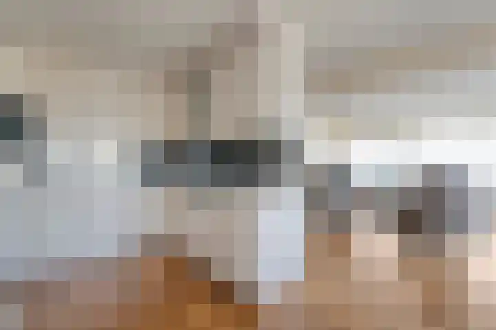Gentiaan 20 Beilen thumbnail 21