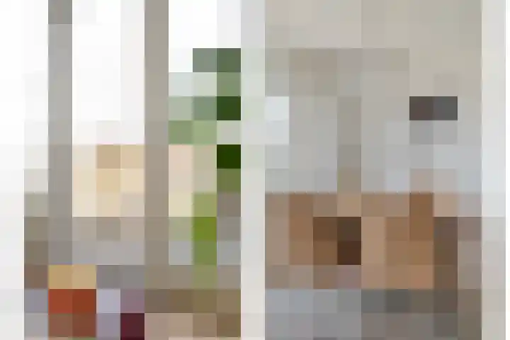 Gentiaan 20 Beilen thumbnail 25