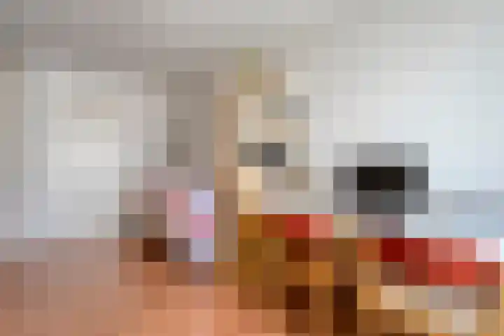Gentiaan 20 Beilen thumbnail 30