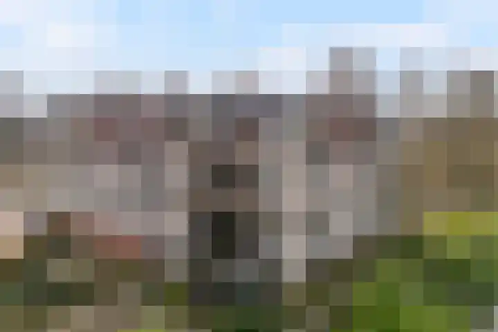 Gentiaan 20 Beilen thumbnail 37
