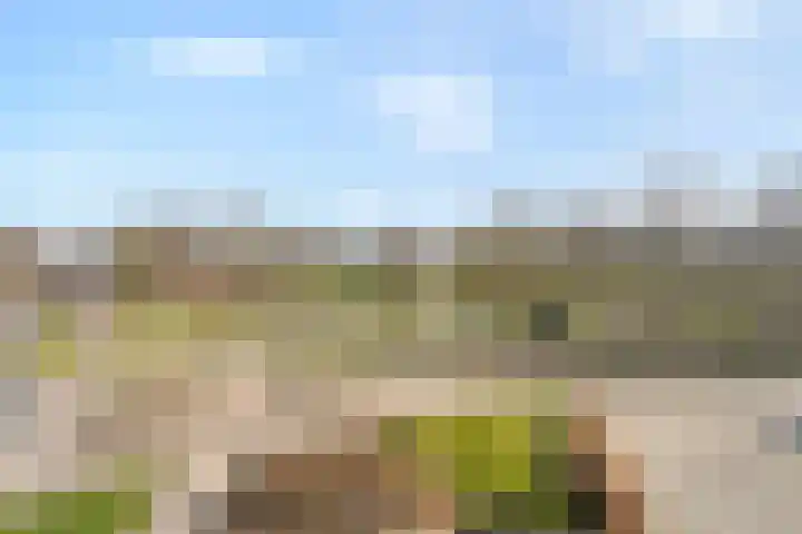Gentiaan 20 Beilen thumbnail 40