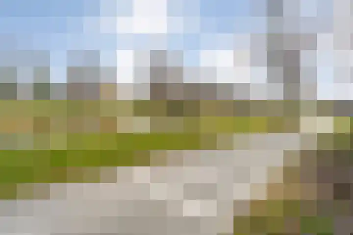 Gentiaan 20 Beilen thumbnail 41