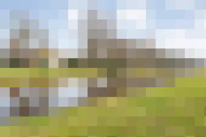 Gentiaan 20 Beilen thumbnail 42