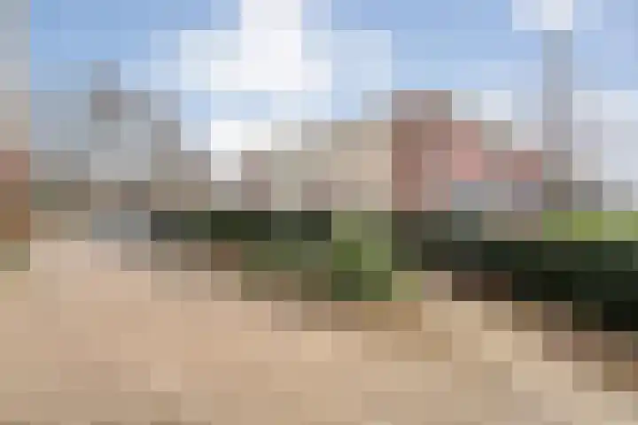 Gentiaan 20 Beilen thumbnail 43