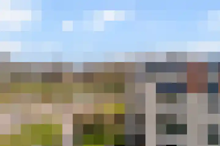 Gentiaan 20 Beilen thumbnail 5