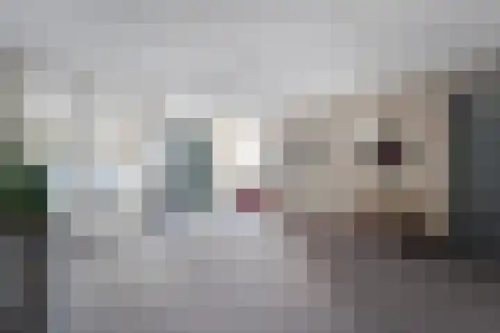 Gentiaan 20 Beilen thumbnail 8