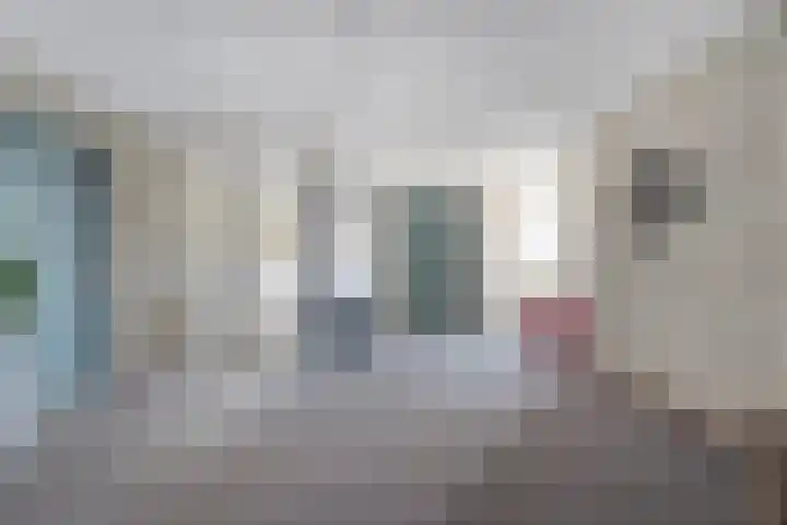 Gentiaan 20 Beilen thumbnail 9