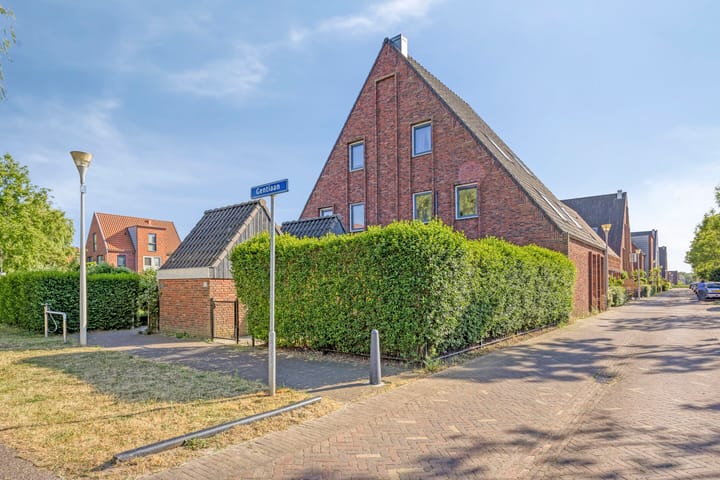 Gentiaan 33 in 's-Gravenhage