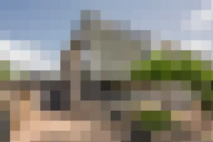 Gentiaan 35 dans Nijkerk