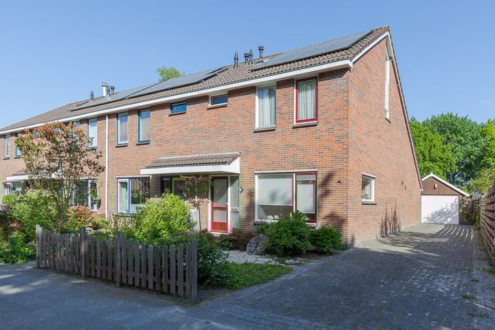 Gentiaan 4 in Wolvega foto