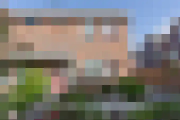 Gentiaan 4 Wolvega foto 2