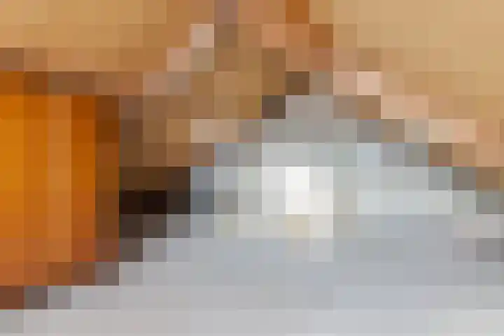 Gentiaan 4 Wolvega thumbnail 29