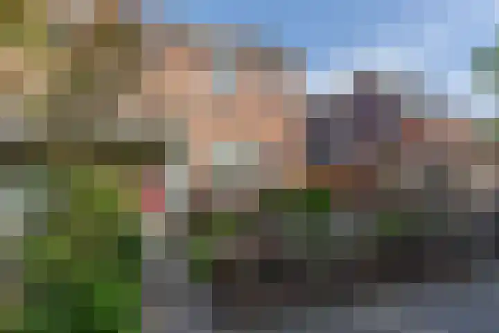 Gentiaan 4 Wolvega foto 3