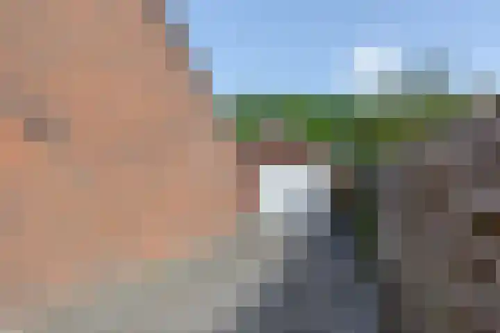 Gentiaan 4 Wolvega thumbnail 31