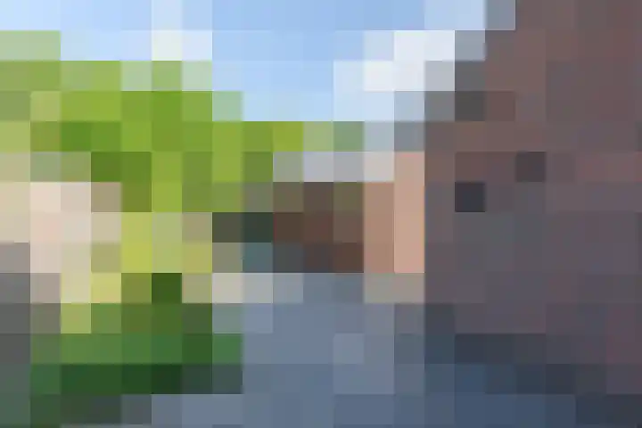 Gentiaan 4 Wolvega thumbnail 33
