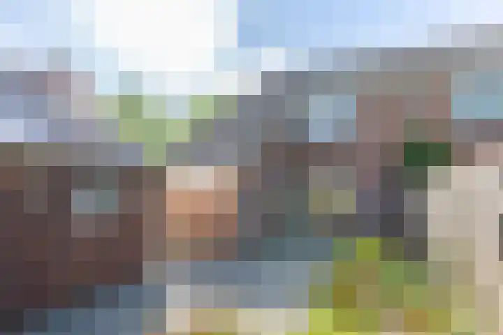 Gentiaan 4 Wolvega thumbnail 34