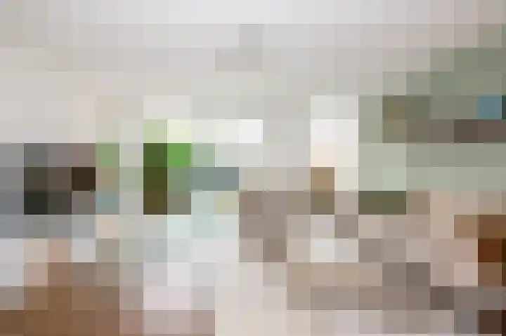 Gentiaan 44 Nootdorp thumbnail 17
