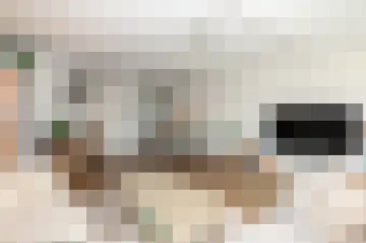 Gentiaan 44 Nootdorp thumbnail 19