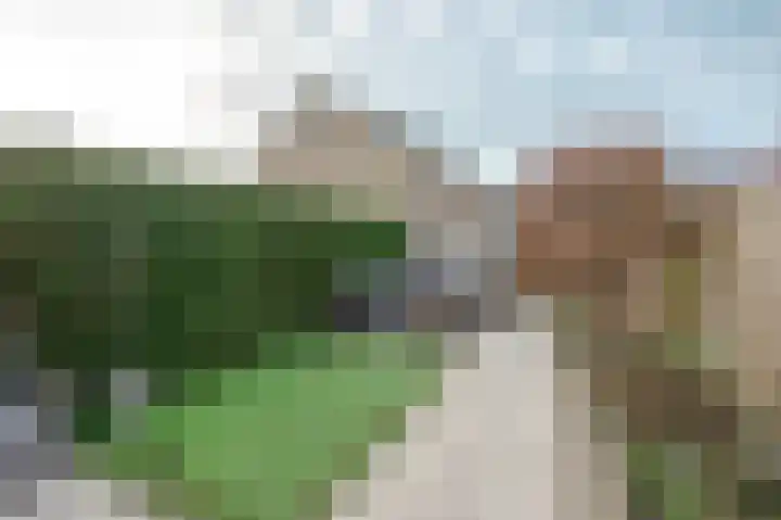 Gentiaan 44 Nootdorp thumbnail 22