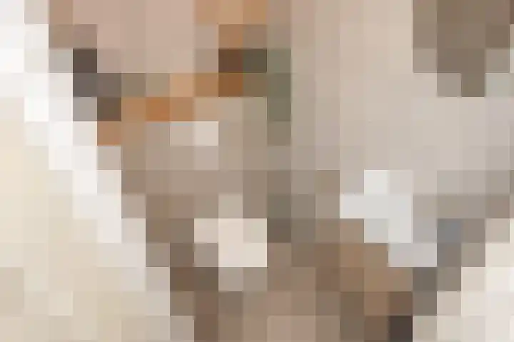 Gentiaan 44 Nootdorp thumbnail 28