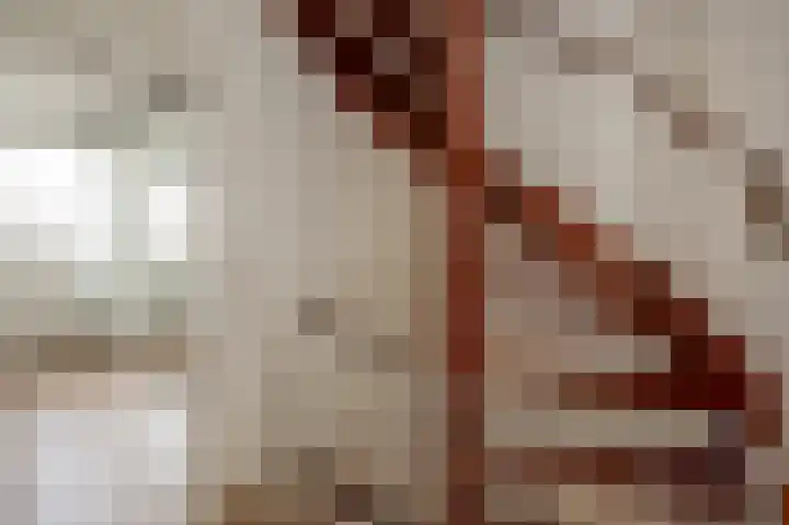 Gentiaan 44 Nootdorp thumbnail 31