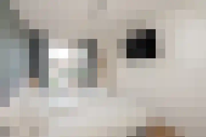 Gentiaan 44 Nootdorp thumbnail 35