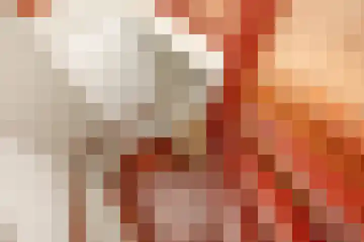 Gentiaan 44 Nootdorp thumbnail 52