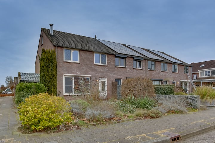 Gentiaan 50 in Nieuwleusen foto