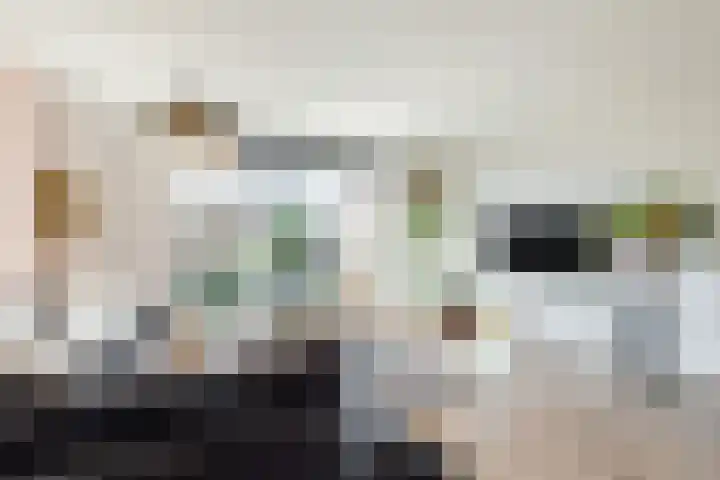 Gentiaan 6 Bodegraven foto 2