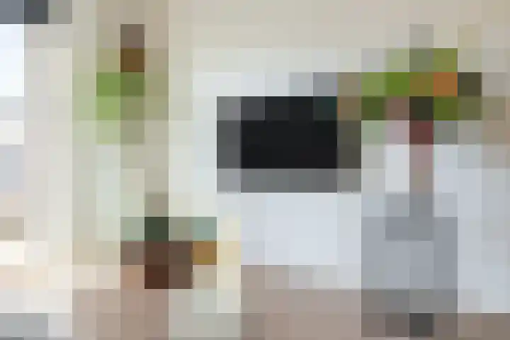 Gentiaan 6 Bodegraven thumbnail 20