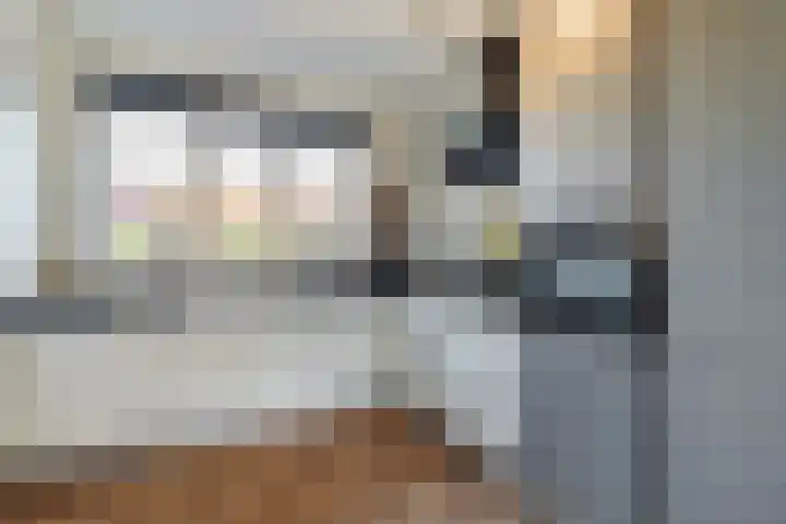 Gentiaan 6 Bodegraven thumbnail 28