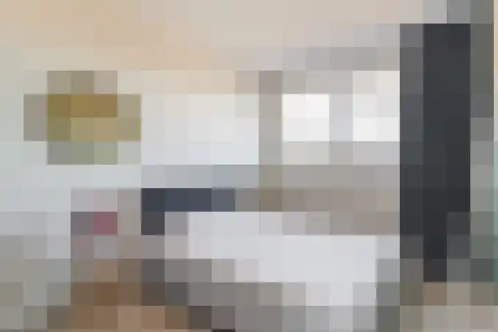 Gentiaan 6 Bodegraven thumbnail 38