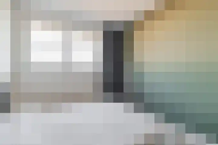 Gentiaan 6 Bodegraven thumbnail 39