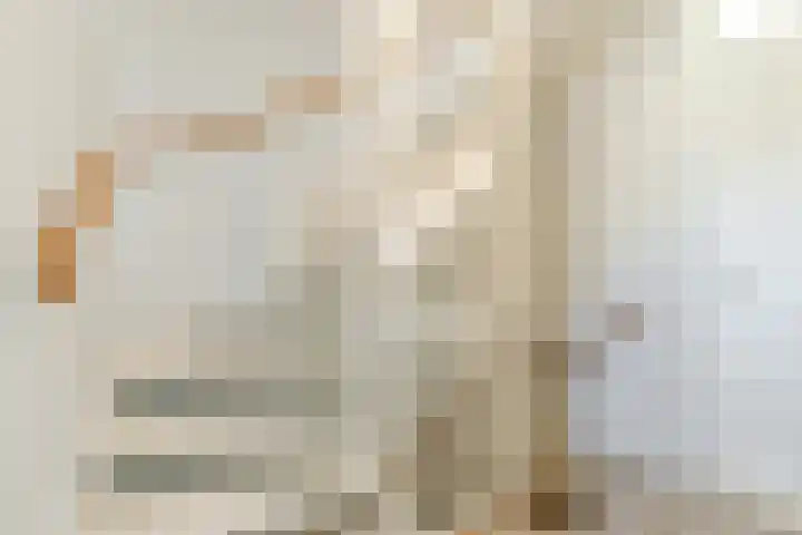 Gentiaan 6 Bodegraven thumbnail 47
