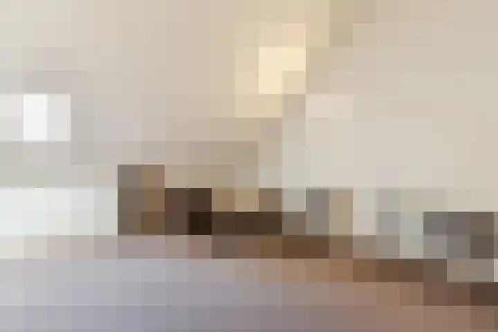Gentiaan 6 Bodegraven thumbnail 50