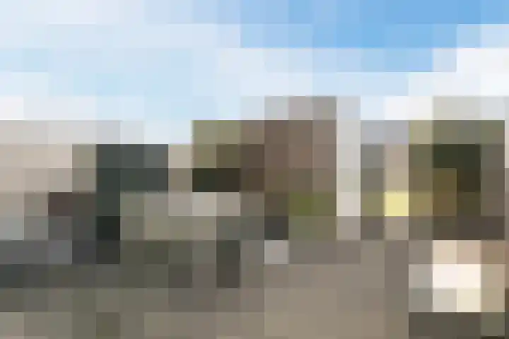 Gentiaan 6 Bodegraven thumbnail 56