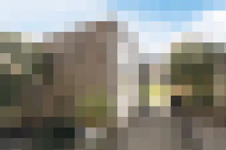 Gentiaan 6 Bodegraven thumbnail 57