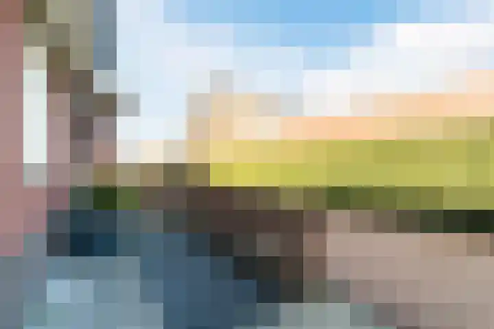 Gentiaan 6 Bodegraven thumbnail 6