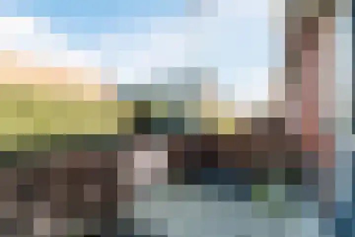 Gentiaan 6 Bodegraven thumbnail 61