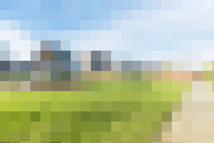 Gentiaan 6 Bodegraven thumbnail 62